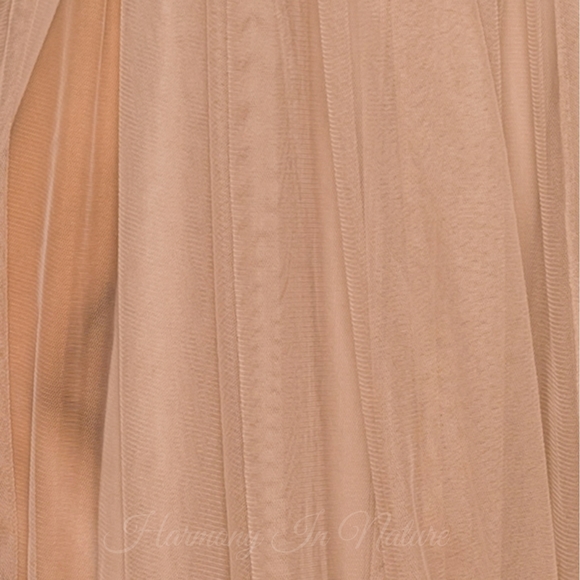 LAST❤NEW Sheer Mesh Maxi Dress - Picture 3 of 3